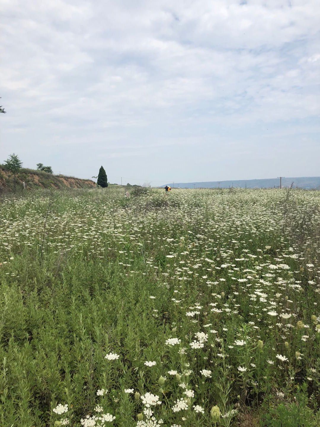 立足“铁路工程地质勘察,抓好生产安全”——中铁西安院铁路处西安南枢纽基地项目组(图1) 立足“铁路工程地质勘察,抓好生产安全”——中铁西安院铁路处西安南枢纽基地项目组(图1)