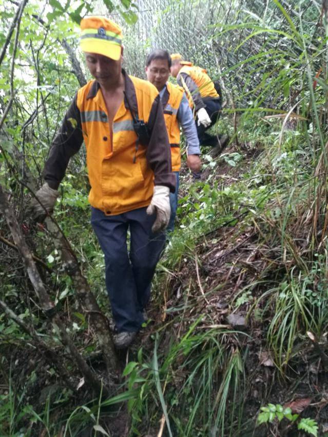 中铁西安院铁路交通设计处紧急投入襄渝、西康线水害抢险救灾(图3)
